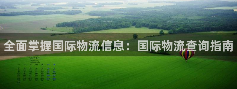 28圈预测加拿大师准