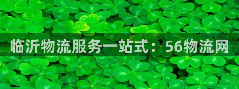 28圈.ccmpc正版