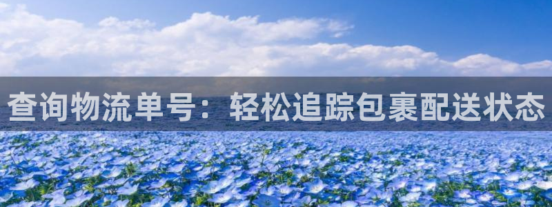 28圈反水怎么算