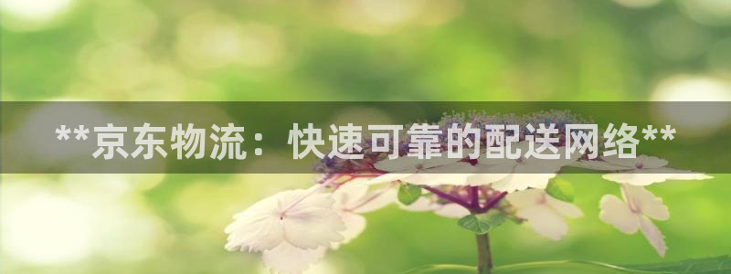 加拿大28圈是什么