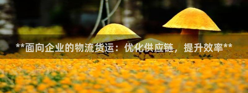 28圈图片