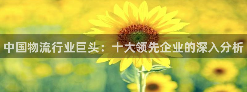 28圈加拿大6.0