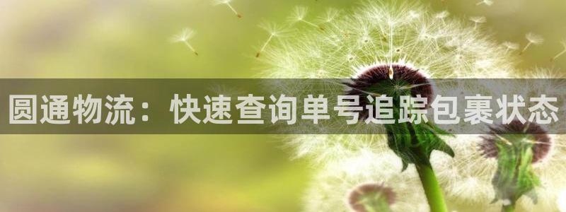 28圈的平台