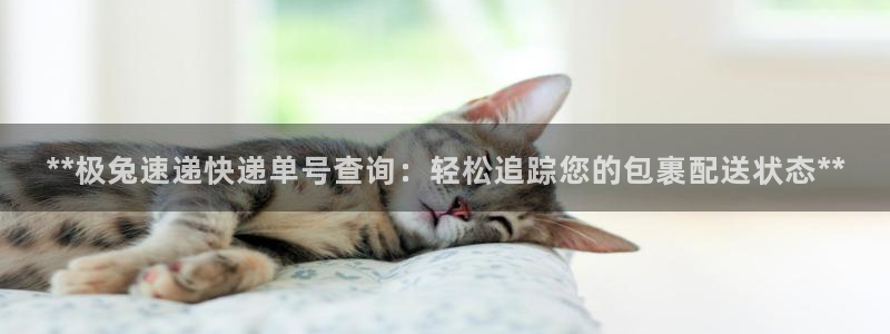 28圈如何看计划