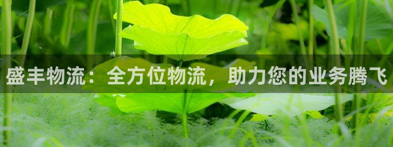 28圈模拟