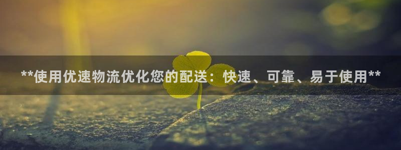 28圈电子游戏