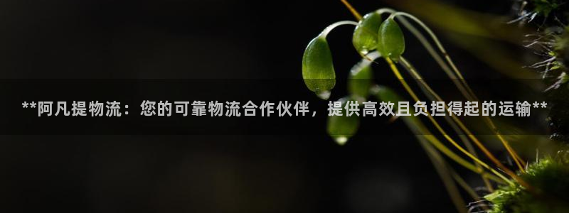 28圈模拟器