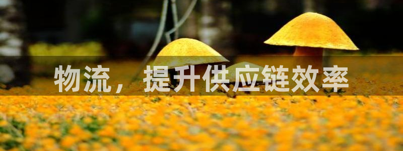 28圈可靠吗