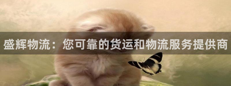 28圈游戏官网入口