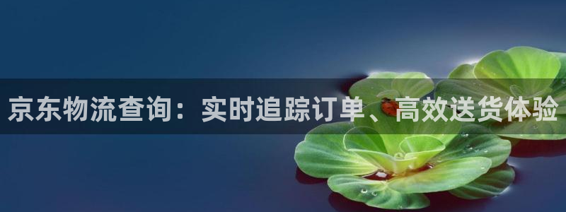 28圈娱乐官网网页下载