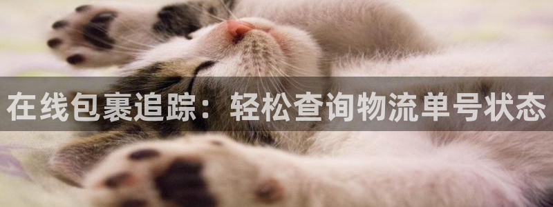 28圈提款一直没到