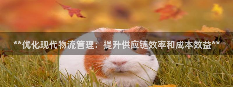 28圈电子游戏