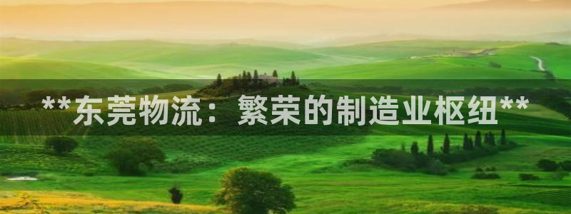 28圈自行车图片