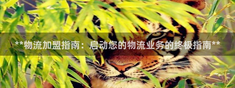 28圈软件