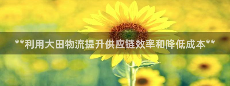 28圈v6能卖多少