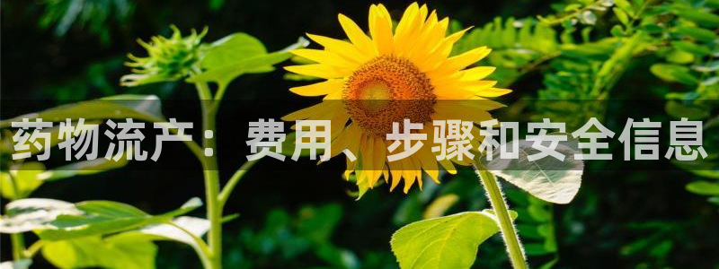 28圈app怎么注销