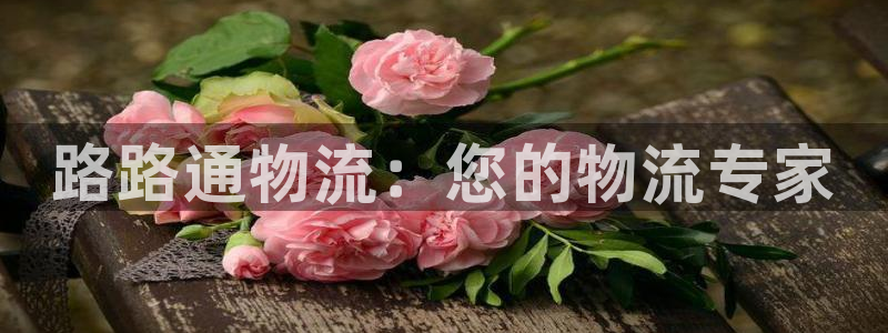 28圈防失联网址
