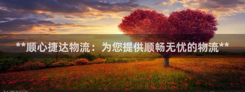 28圈ccm官网版