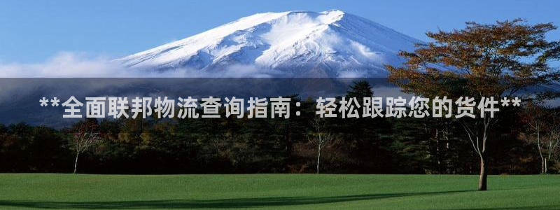 28圈龙虎