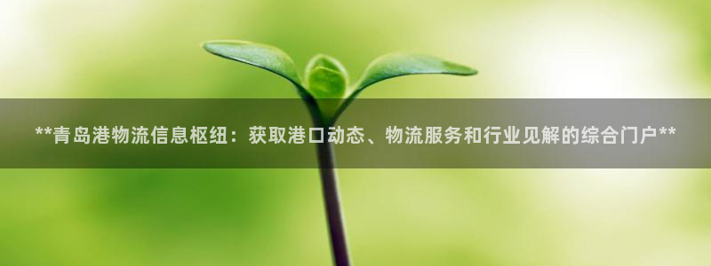 28圈官网多少