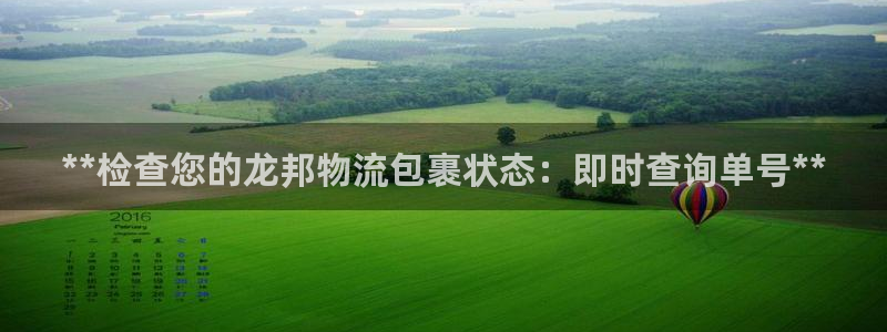 28圈开奖预测