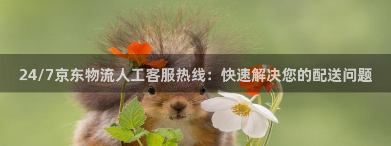28圈加拿大预测