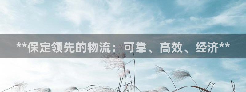 28圈官网网站