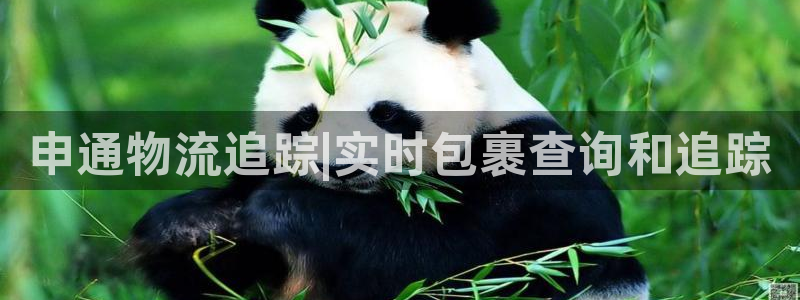 28圈防失联网址