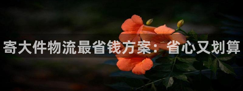28圈模拟器在线使用