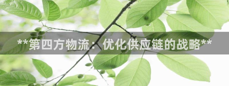 28圈里的财神