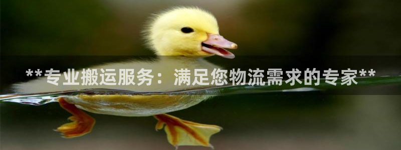 28圈怎么下载教程