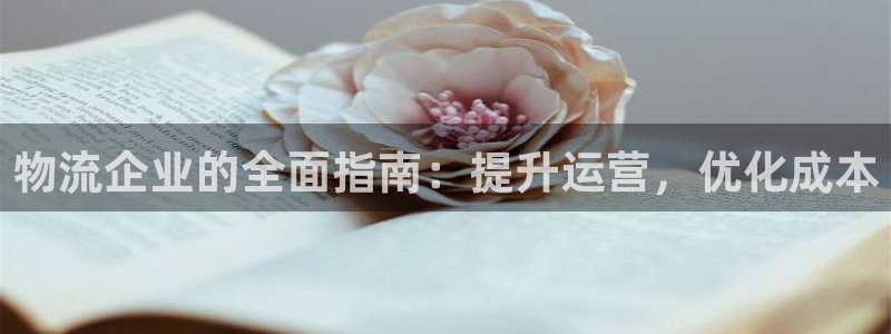 28圈电子