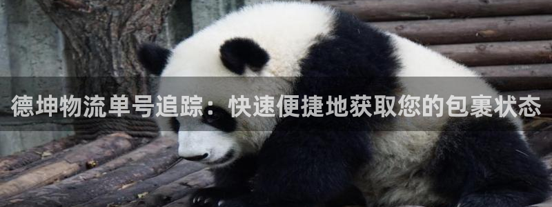28圈娱乐官网网页入口
