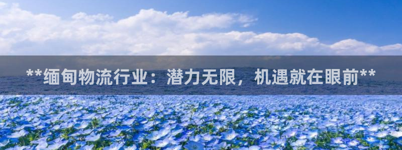 28圈客服电话