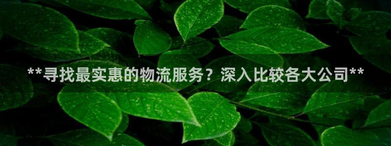 28圈pc预测