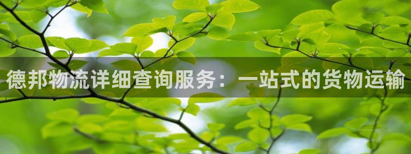 28圈软件有什么用：德邦物流详细查询