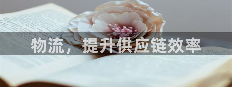 28圈pg如何退钱