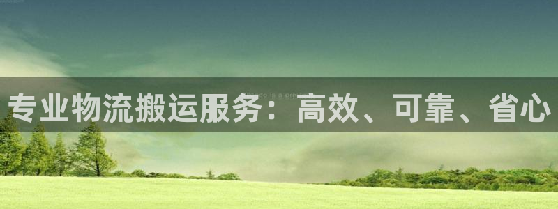 28圈旗下