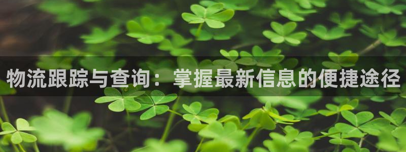 28圈玩法