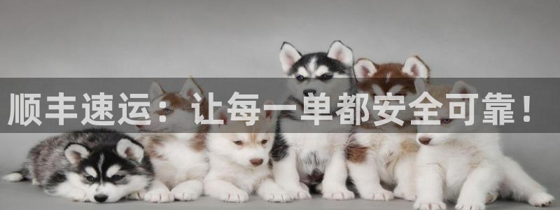 28圈口