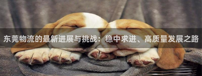 28圈.ccmpc是诈骗吗?：东莞物