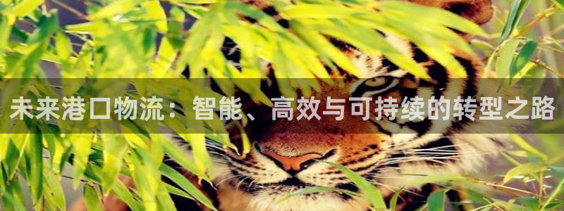 28圈吧：未来港口物流：智能、高效与