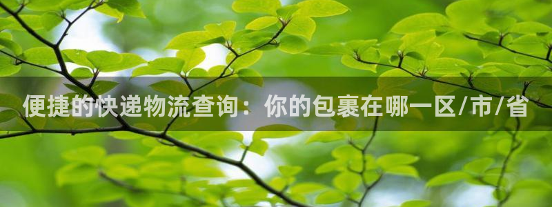 28圈加拿大2.8预测在线预测：便捷