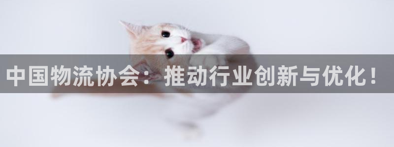 28圈模拟器在线玩：中国物流协会：推