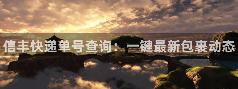 28圈加拿大能提现吗：信丰快递单号查