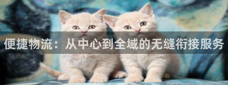 28圈注册用户名是什么：便捷物流：从