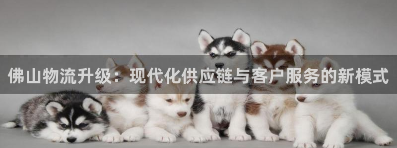 28圈和南宫28什么关系：佛山物流升