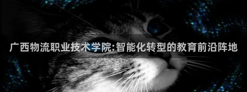 28圈麻将胡了在线试玩：广西物流职业