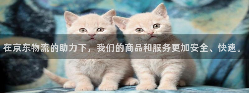28圈能不能退：在京东物流的助力下，