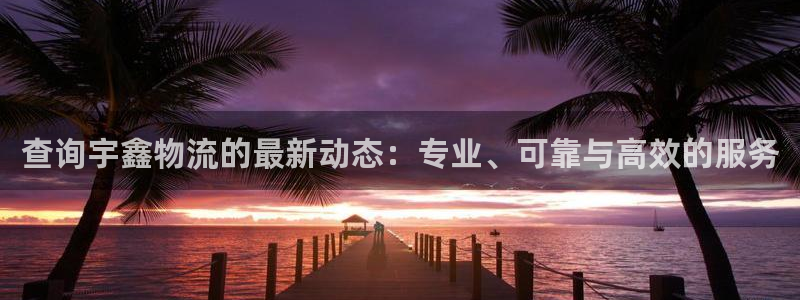28圈软件堵什么反什么：查询宇鑫物流